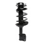 PRT Suspension Strut and Coil Spring Assembly P/N:818244