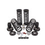 Arnott Industries Air Spring to Coil Spring Conversion Kit P/N:C-2989