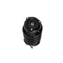 PRT Suspension Strut and Coil Spring Assembly P/N:817245