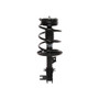 PRT Suspension Strut and Coil Spring Assembly P/N:818908