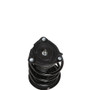 PRT Suspension Strut and Coil Spring Assembly P/N:818908