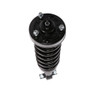 PRT Suspension Strut and Coil Spring Assembly P/N:710515L