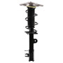 PRT Suspension Strut and Coil Spring Assembly P/N:920355