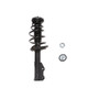 PRT Suspension Strut and Coil Spring Assembly P/N:818032