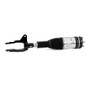 Arnott Industries Air Suspension Strut AS-3251 - view 2