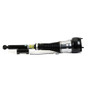 Arnott Industries Air Suspension Strut AS-3464