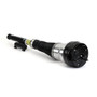 Arnott Industries Air Suspension Strut P/N:AS-3464
