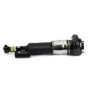 Arnott Industries Air Suspension Strut P/N:AS-3375