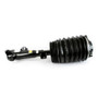 Arnott Industries Air Suspension Strut P/N:AS-3897