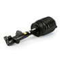 Arnott Industries Air Suspension Strut P/N:AS-3897