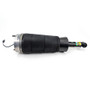 Arnott Industries Air Suspension Strut P/N:AS-4412