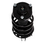 PRT Suspension Strut and Coil Spring Assembly P/N:818698
