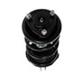 PRT Suspension Strut and Coil Spring Assembly P/N:814295