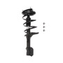 PRT Suspension Strut and Coil Spring Assembly P/N:818205