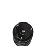 PRT Suspension Strut and Coil Spring Assembly P/N:818205