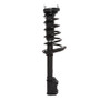 PRT Suspension Strut and Coil Spring Assembly P/N:816554
