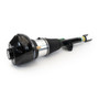 Arnott Industries Air Suspension Strut AS-3403 - view 4