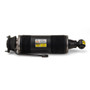 Arnott Industries Suspension Strut P/N:SK-2484