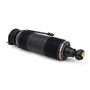 Arnott Industries Suspension Strut SK-2484 - view 2