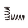 Arnott Industries Air Spring to Coil Spring Conversion Kit C-2663 - view 4