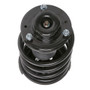 PRT Suspension Strut and Coil Spring Assembly P/N:816056