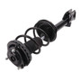 PRT Suspension Strut and Coil Spring Assembly P/N:920010