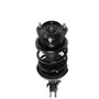 PRT Suspension Strut and Coil Spring Assembly P/N:818242