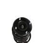 PRT Suspension Strut and Coil Spring Assembly P/N:817136