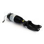 Arnott Industries Air Suspension Strut P/N:ASE-4374