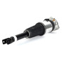 Arnott Industries Air Suspension Strut P/N:AS-3030