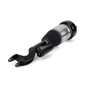 Arnott Industries Air Suspension Strut AS-3337 - view 2