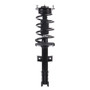 PRT Suspension Strut and Coil Spring Assembly P/N:920081