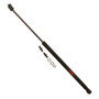 TRW Liftgate Lift Support P/N:TSG304021