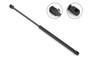 Stabilus Liftgate Lift Support P/N:4F-850162
