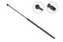 Stabilus Liftgate Lift Support 1F-061224