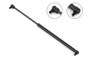Stabilus Back Glass Lift Support P/N:4B-205316