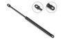 Stabilus Trunk Lid Lift Support P/N:4B-8416IC
