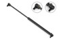 Stabilus Back Glass Lift Support,Liftgate Lift Support P/N:4F-484474
