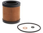 FRAM Engine Oil Filter P/N:CH10075