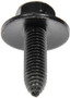 BODY BOLTS