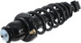Suspension Strut and Coil Spring Assembly-Pro-strut Rear Right Autopart Intl