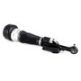 Arnott Industries Air Suspension Strut P/N:AS-2547