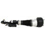 Arnott Industries Air Suspension Strut AS-2548