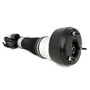 Arnott Industries Air Suspension Strut AS-2548 - view 4