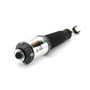 Arnott Industries Air Suspension Strut P/N:AS-2562