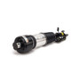 Arnott Industries Air Suspension Strut P/N:AS-2786