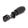 Arnott Industries Air Suspension Strut P/N:AS-2795