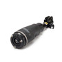 Arnott Industries Air Suspension Strut P/N:AS-2961