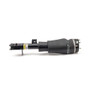 Arnott Industries Air Suspension Strut P/N:AS-2962