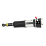Arnott Industries Air Suspension Strut P/N:AS-3073